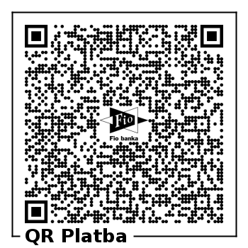 platba inej sumy platba inej sumy